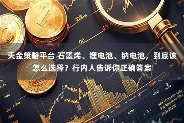 天金策略平台 石墨烯、锂电池、钠电池，到底该怎么选择？行内人告诉你正确答案