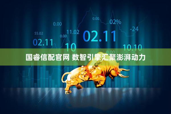 国睿信配官网 数智引擎汇聚澎湃动力